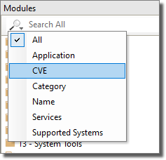 Modules Panel - Searching by CVE Name