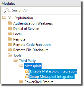 Setup Metasploit Integration Module