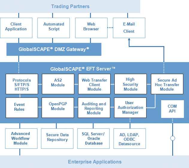 illust_taxonomy_blue.gif