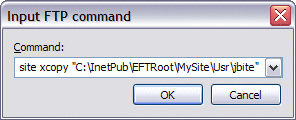db_inputftpcommand.gif
