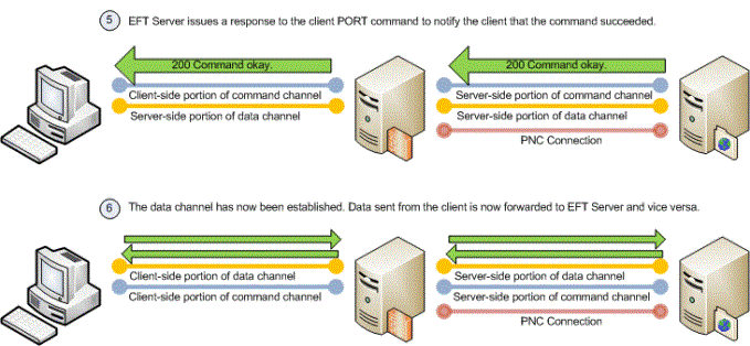 Initialization and Connection Diagrams